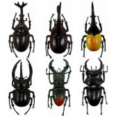 BIG����쥯����� 6�ĥ��å�