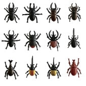 ꥢκե奢ʾ˥ڥ륢 100ĥå