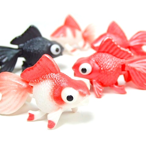 すくって!リアル金魚コレクション 10個セット