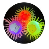 ²ۥեå⤸⤸衼衼 24ĥå