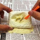 ȯ������ε�β��� 18�ĥ��å�