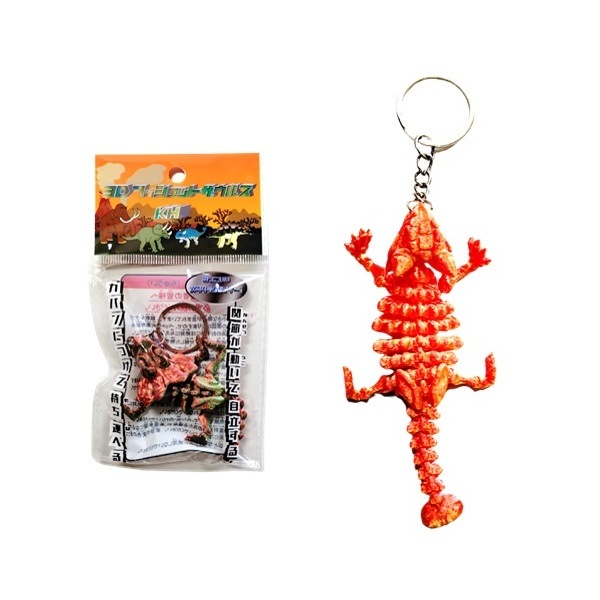 3D�ե������åȥ����륹KH 12�ĥ��å�