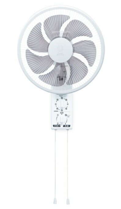 [SS-2022-F812]ȥȥߡҤ⼰ɳݤ(ۥ磻)/FW-30M-W/2022ǯ