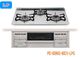 [SS-2026-R601]�ѥ��ޡ������ӥ�ȥ��󥳥��(��̵ξ�̾Ƥ�����롦����ξ�����ϡ�LP������60���)/PD-509WS-60CV-LPG
