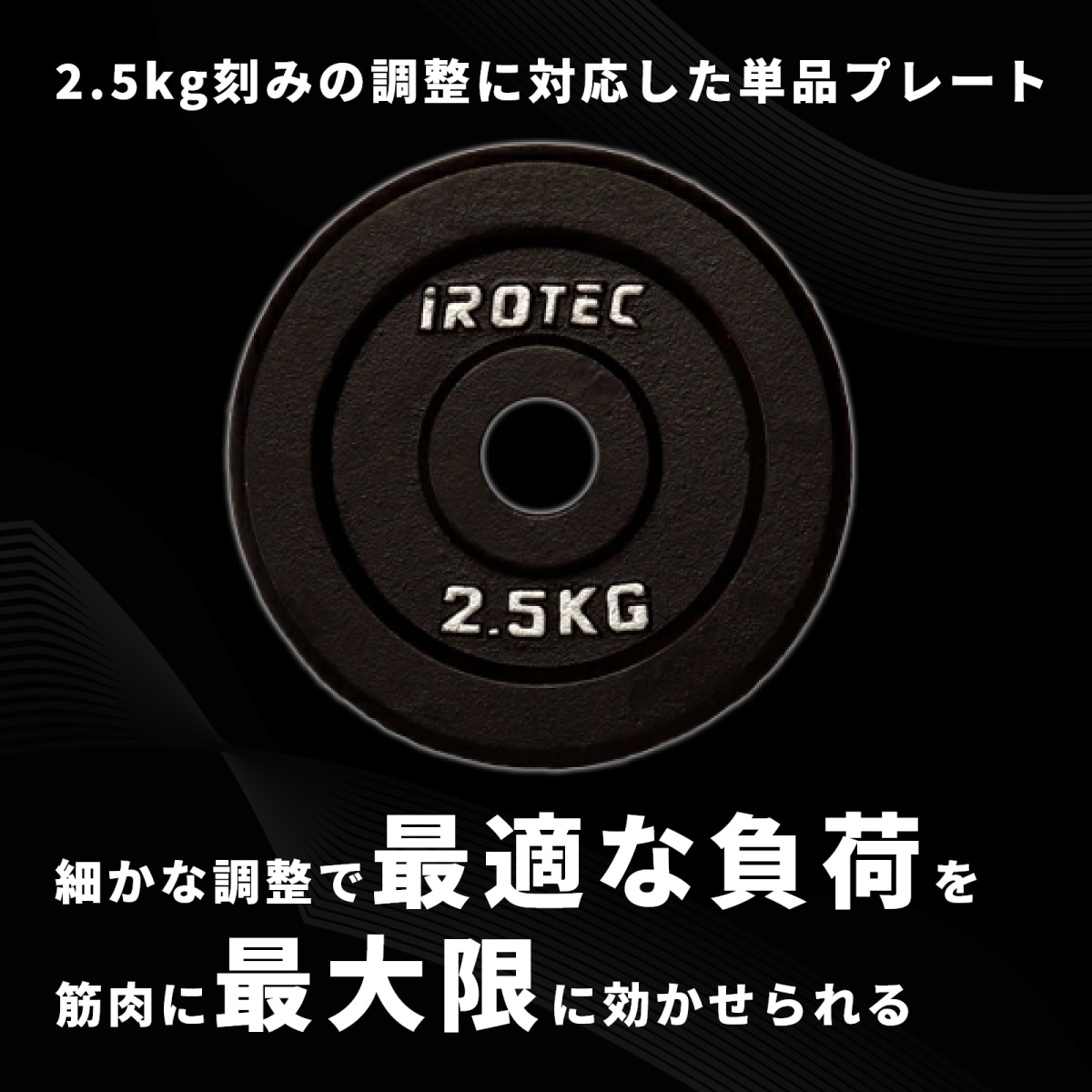 【美品】iROTEC アイロテック 28mmアイアンプレート 10kg×2枚 美品 アイロテック 10kgプレート2枚 28mm 用 アイアンプレート