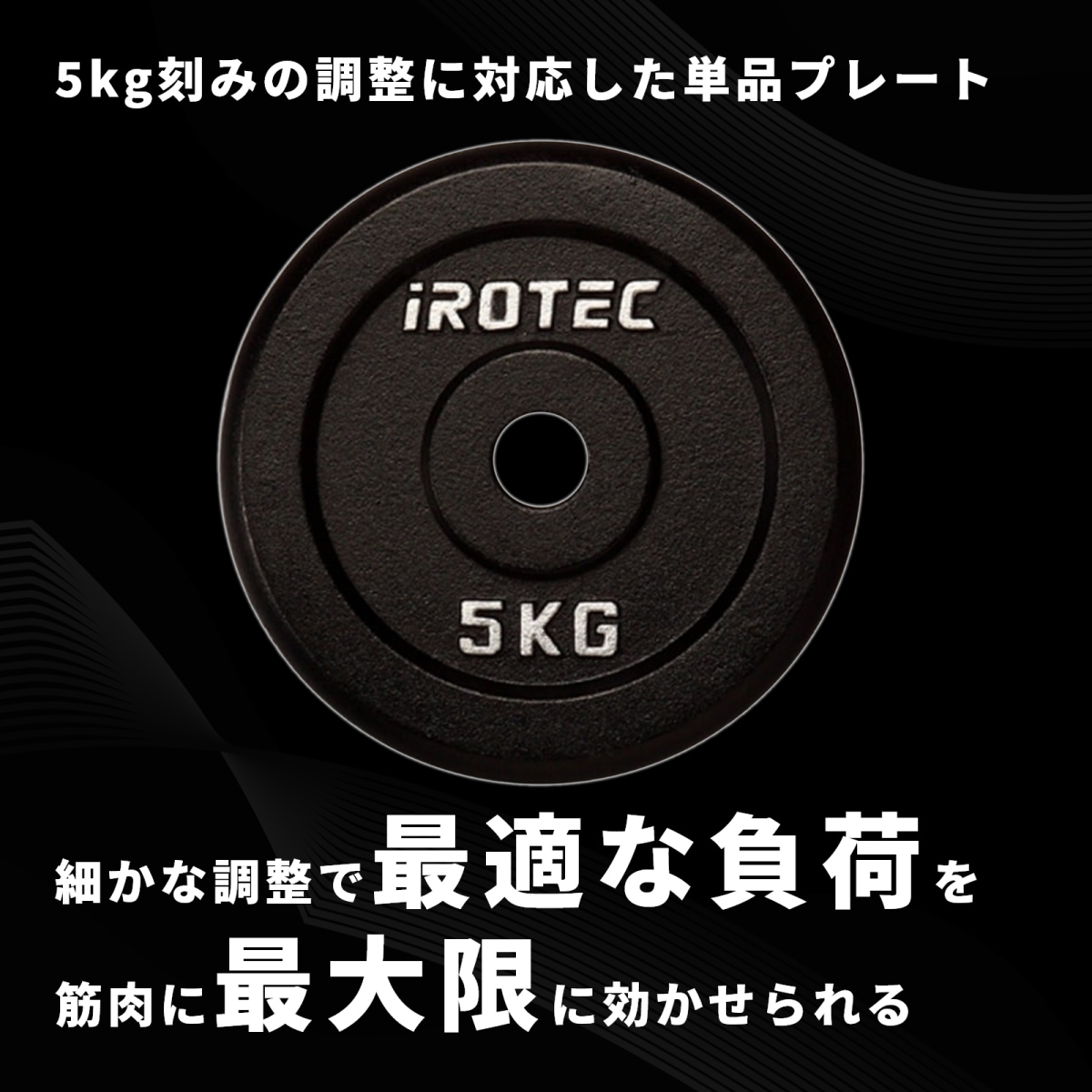 アイアンプレート5kg(1枚)【穴径29mm】 IROTEC (アイロテック)