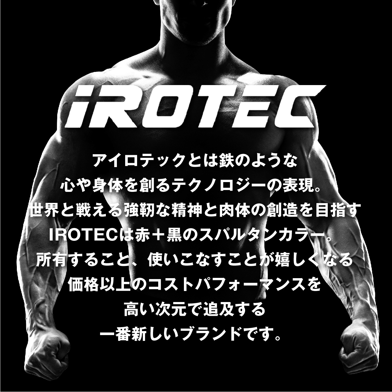 IROTEC （ アイロテック ） アイアンプレート① アイアンプレート10kg(1枚)【穴径29mm】 IROTEC (アイロテック)
