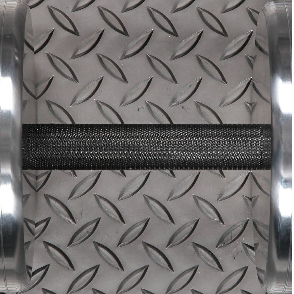 ハードクロームジムダンベル12kg / IROTEC（アイロテック）