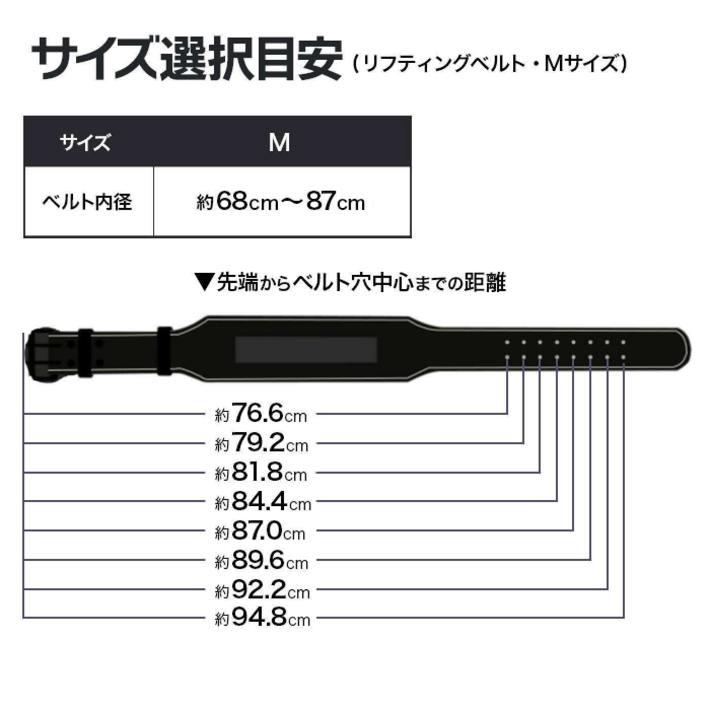 【更に製造遅延の為Mサイズ10月下旬頃入荷予定】本革リフティングベルト /IROTEC（アイロテック）-9