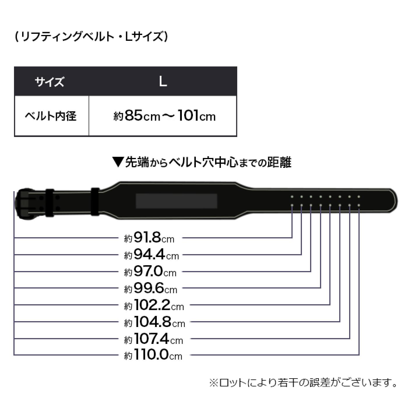 【更に製造遅延の為Mサイズ10月下旬頃入荷予定】本革リフティングベルト /IROTEC（アイロテック）-10
