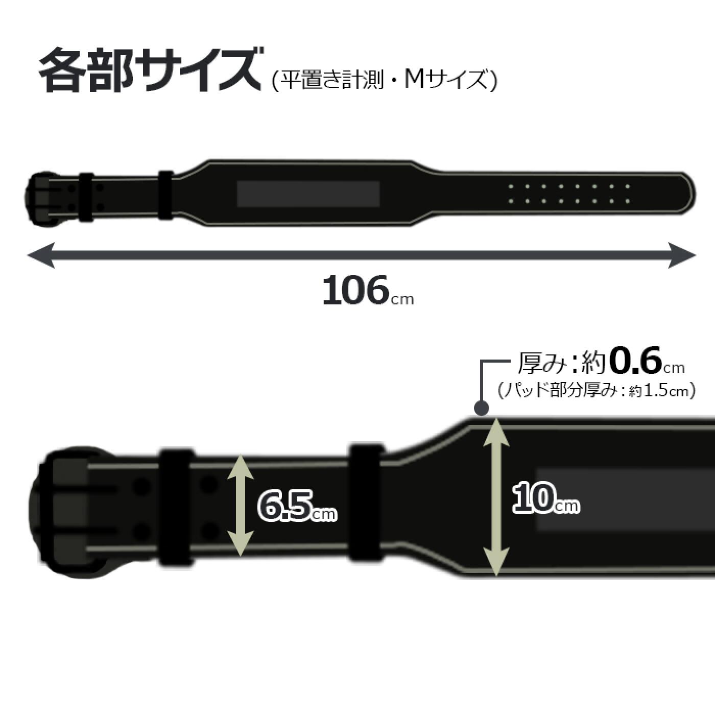【更に製造遅延の為Mサイズ10月下旬頃入荷予定】本革リフティングベルト /IROTEC（アイロテック）-11
