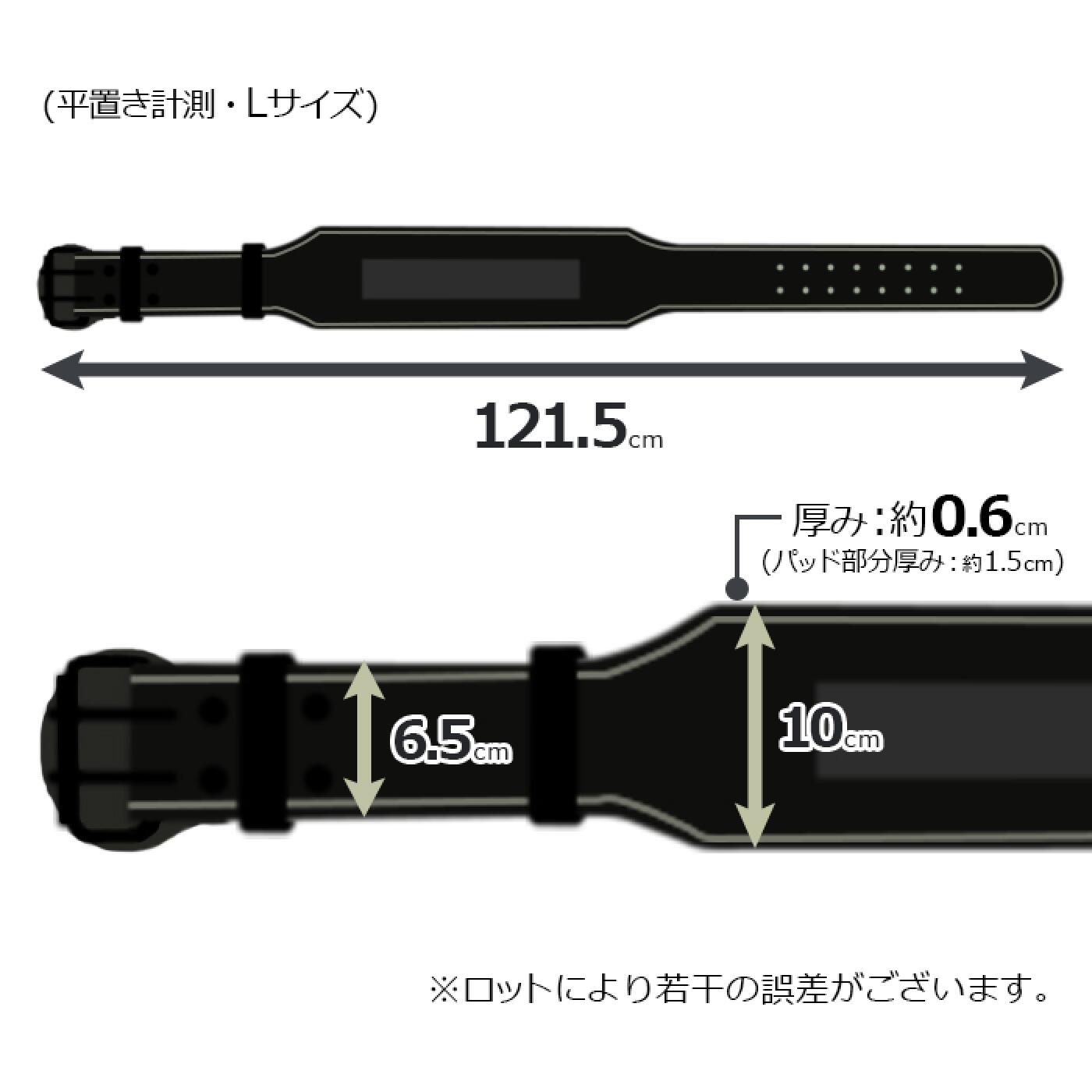 【更に製造遅延の為Mサイズ10月下旬頃入荷予定】本革リフティングベルト /IROTEC（アイロテック）-12