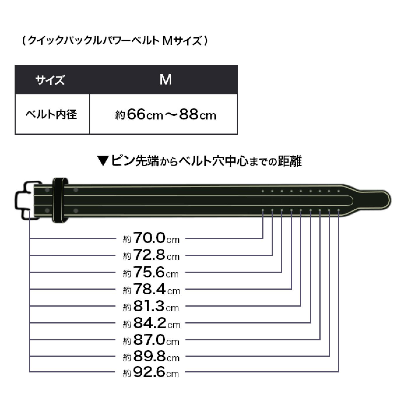 【更に製造遅延の為Mサイズ10月下旬頃入荷予定】本革クイックバックルパワーベルト/IROTEC（アイロテック）-10