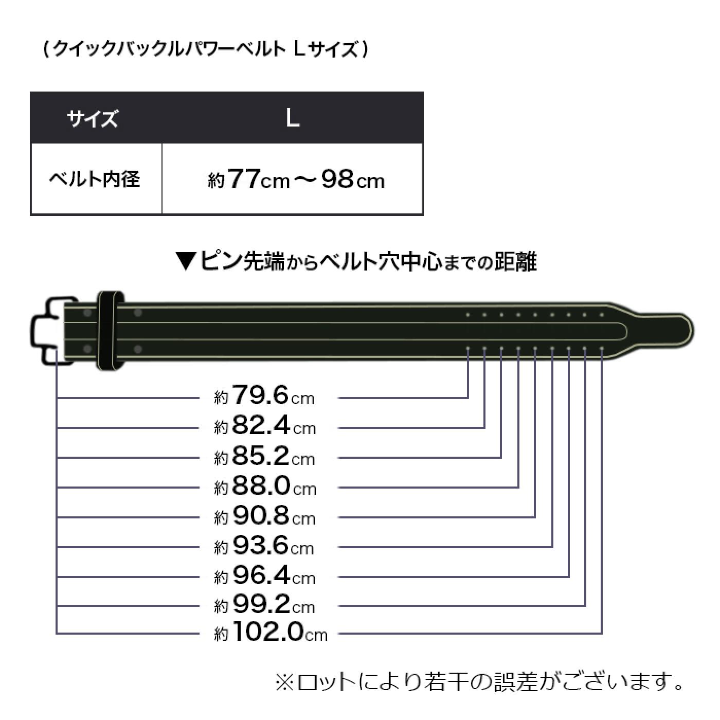 【更に製造遅延の為Mサイズ10月下旬頃入荷予定】本革クイックバックルパワーベルト/IROTEC（アイロテック）-11