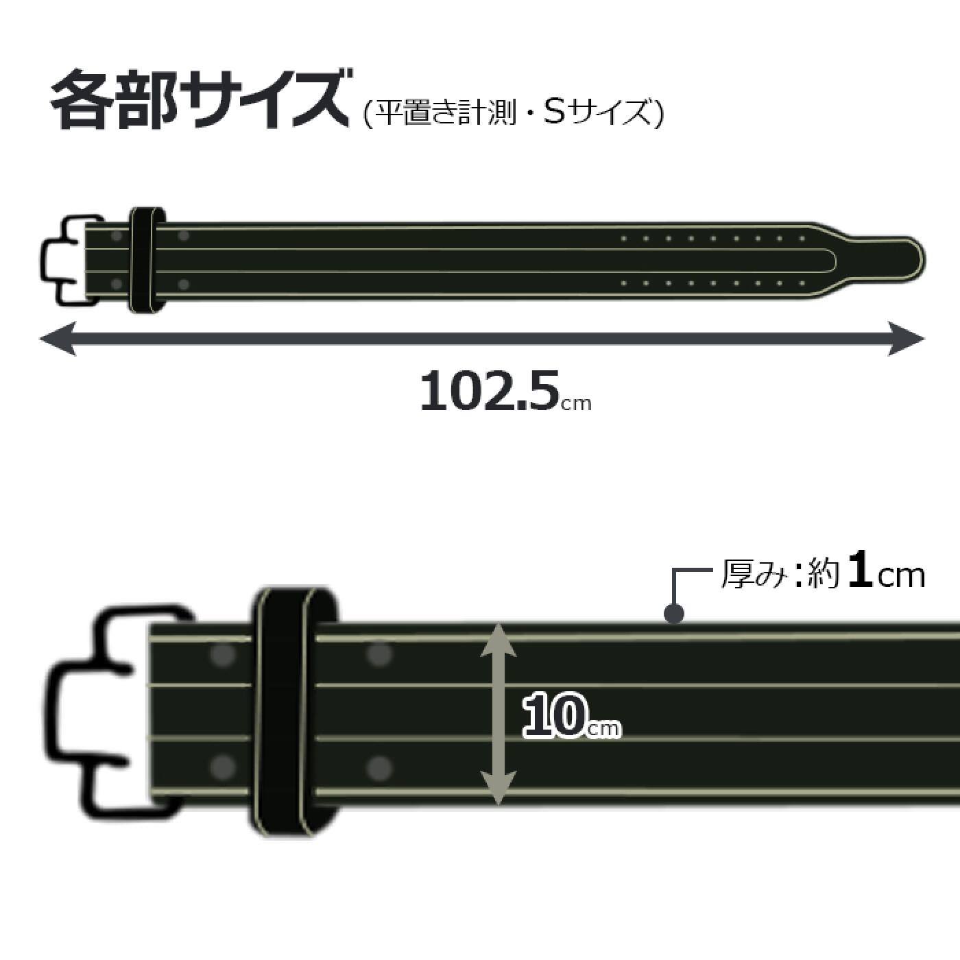【更に製造遅延の為Mサイズ10月下旬頃入荷予定】本革クイックバックルパワーベルト/IROTEC（アイロテック）-12