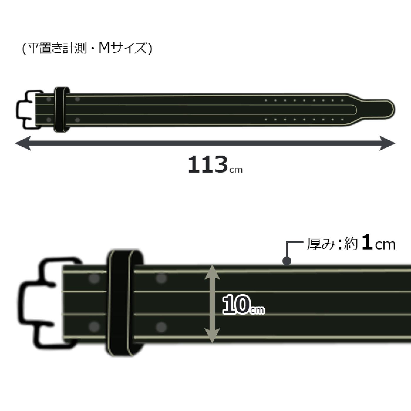 【更に製造遅延の為Mサイズ10月下旬頃入荷予定】本革クイックバックルパワーベルト/IROTEC（アイロテック）-13