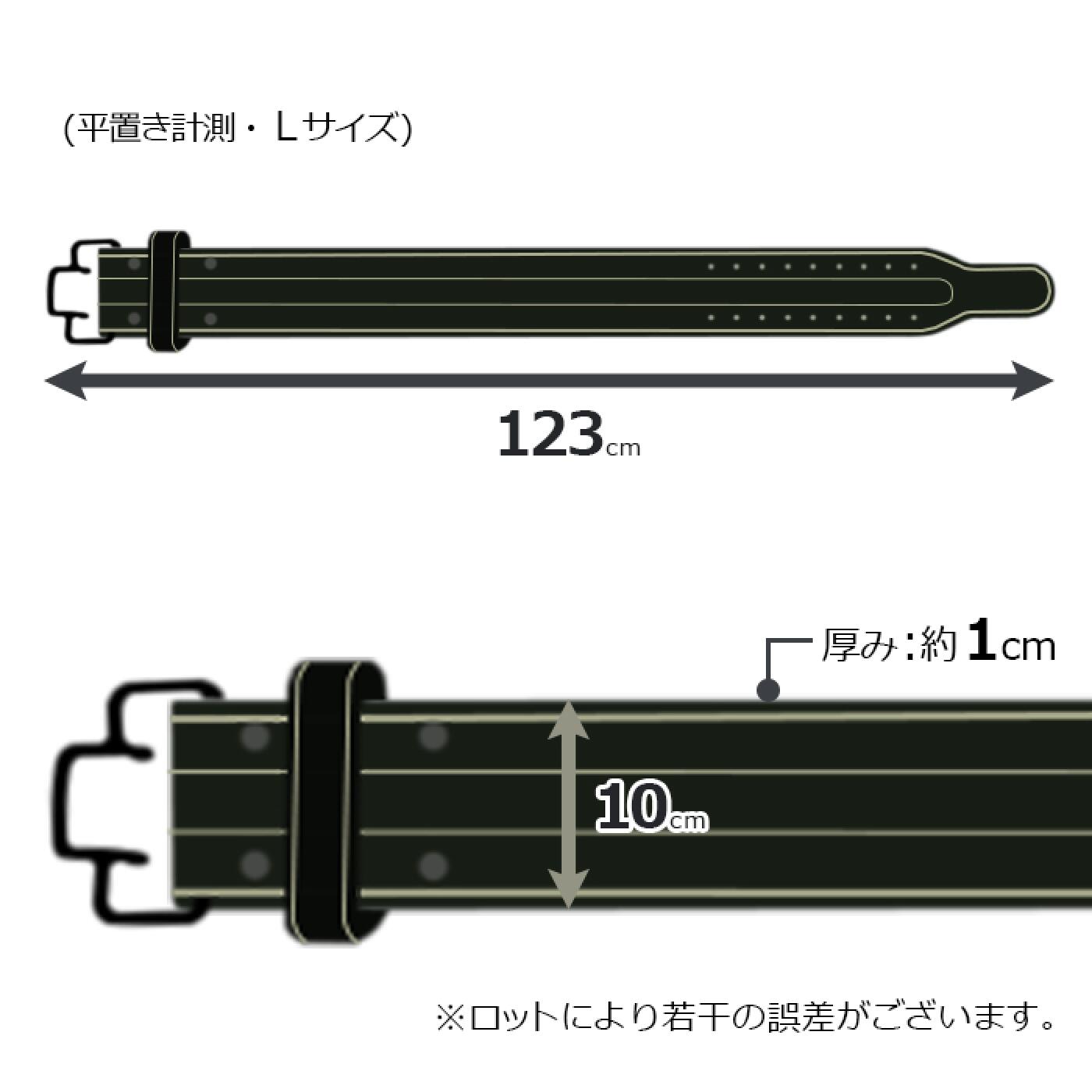 【更に製造遅延の為Mサイズ10月下旬頃入荷予定】本革クイックバックルパワーベルト/IROTEC（アイロテック）-14