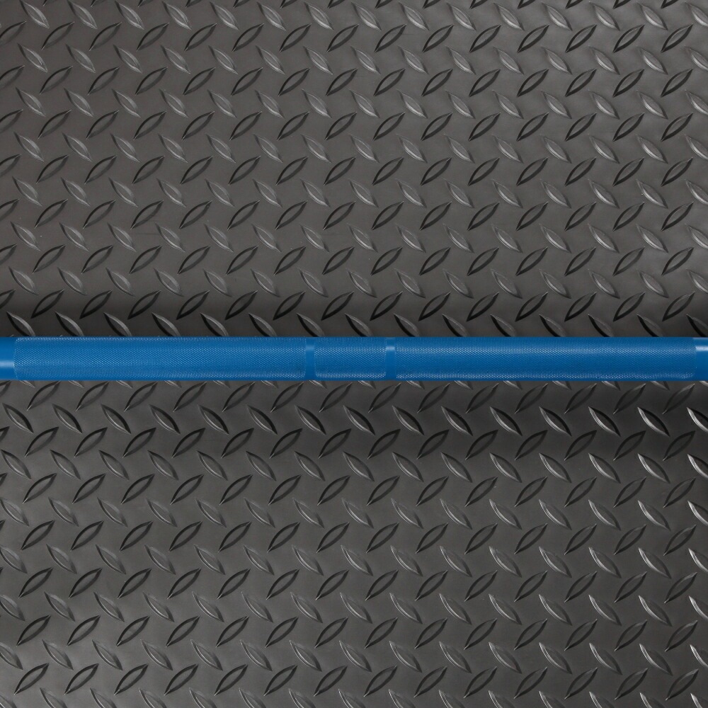 青色バーベルシャフト obscbumain3.jpg