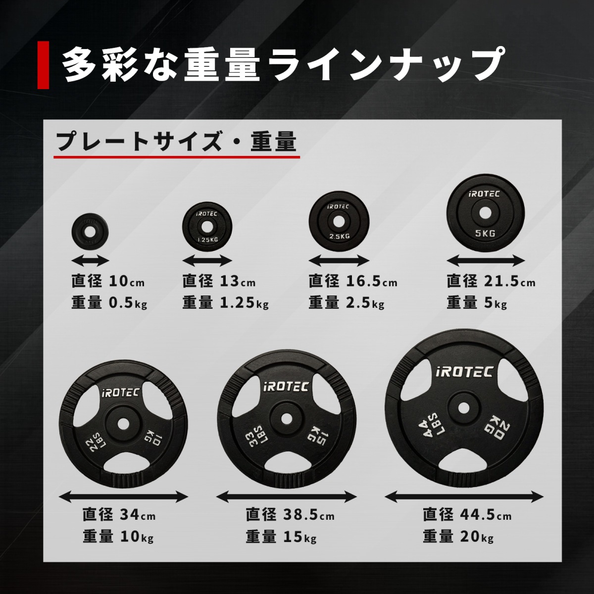アイアンプレート2.5kg(4枚) IROTEC (アイロテック)