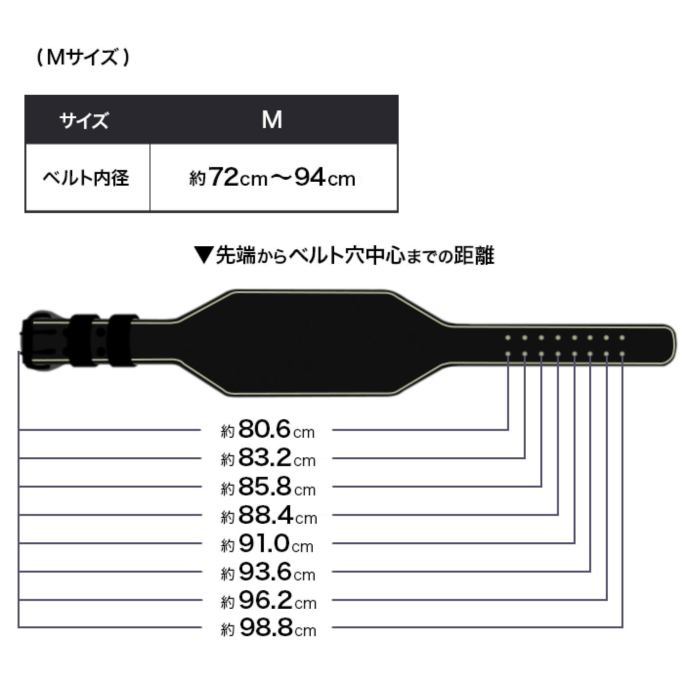【製造遅延の為Mサイズ10月下旬頃入荷予定】レザーウエイトリフティングベルトワイドタイプ【ブラック】/IROTEC（アイロテック）-10