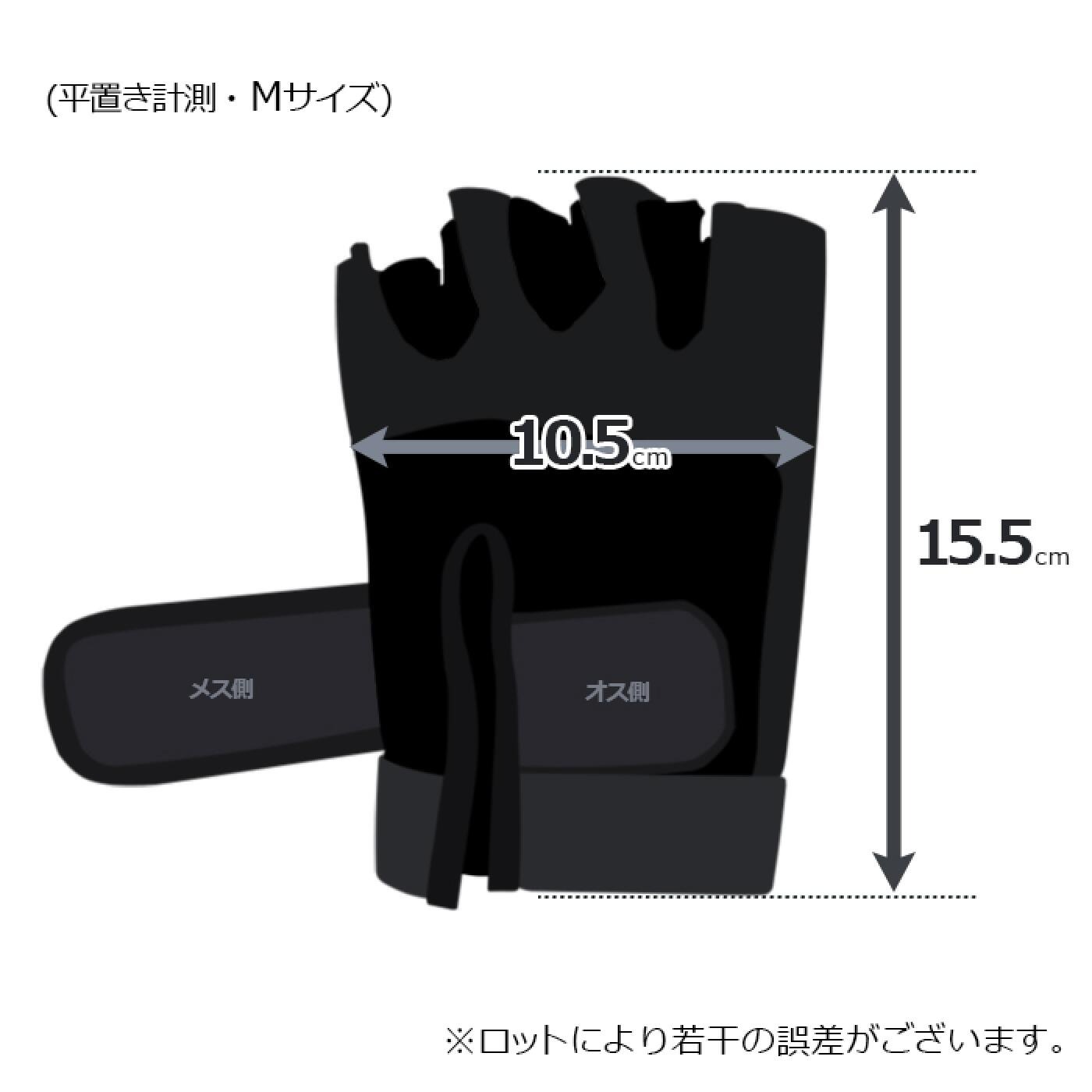 パワーリフティンググローブ/IROTEC（アイロテック）-6