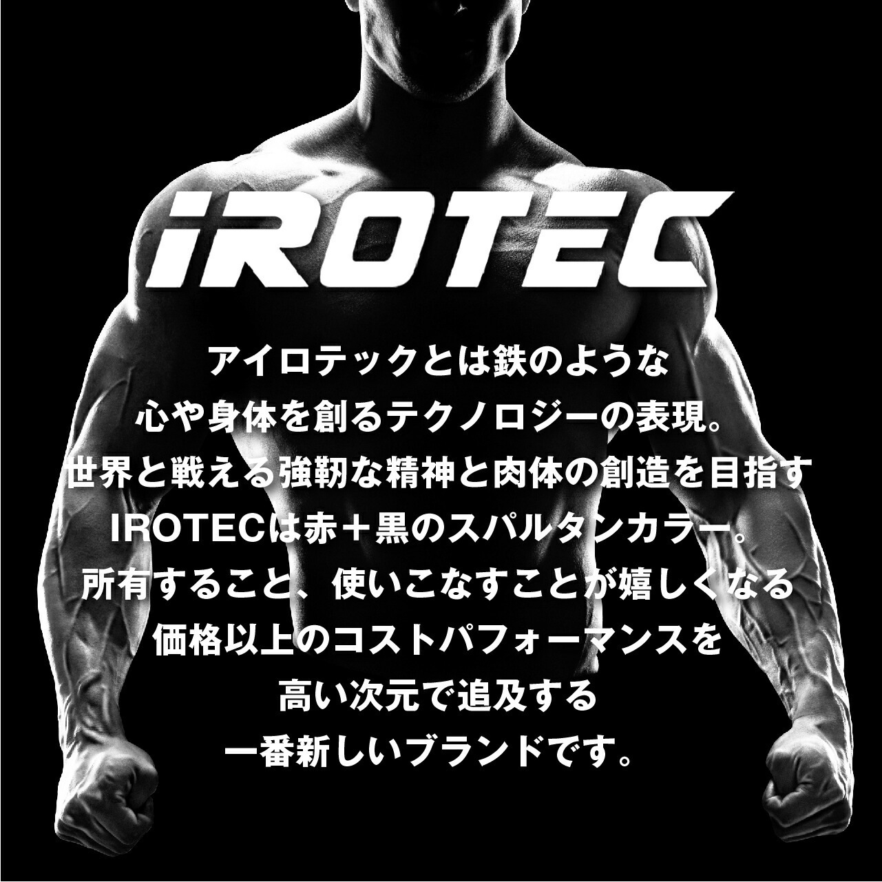 パワーリフティンググローブ/IROTEC（アイロテック）-9