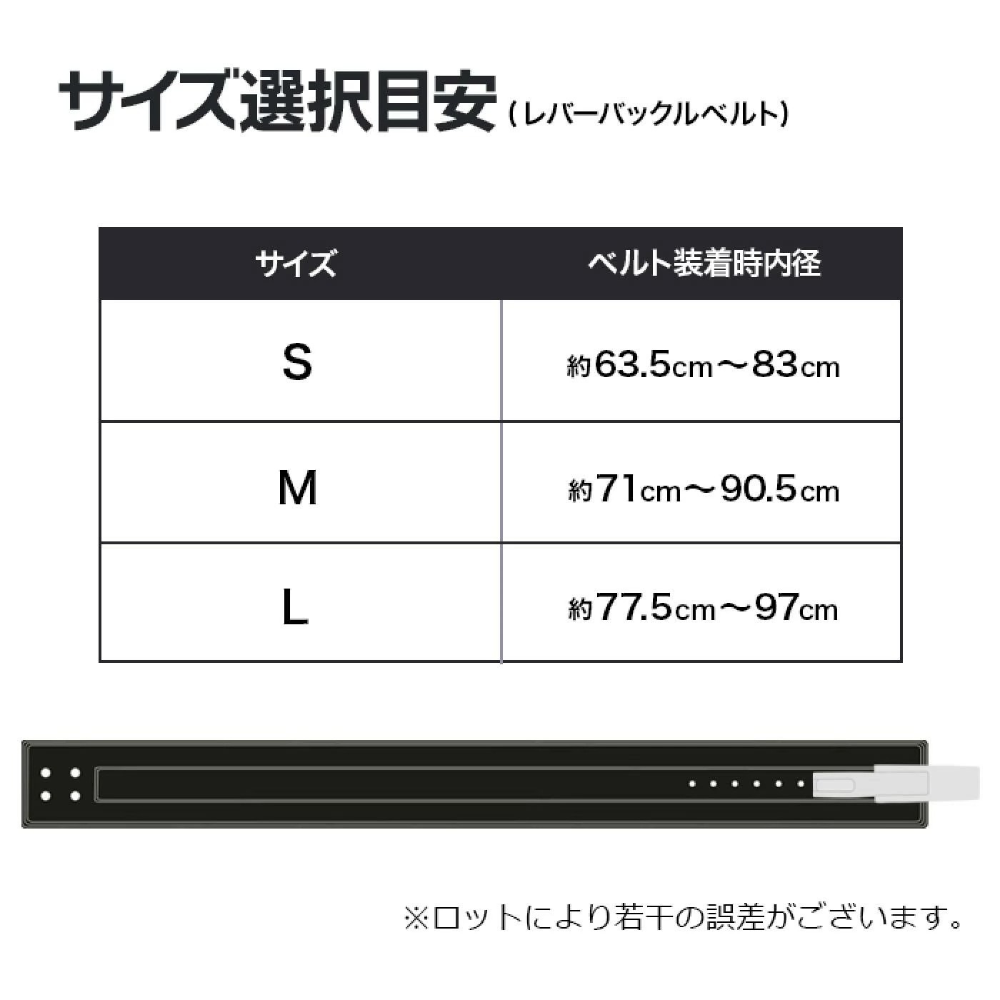 【更に製造遅延の為Mサイズ10月下旬頃入荷予定】レバーバックルベルト ブラック/IROTEC（アイロテック）-5
