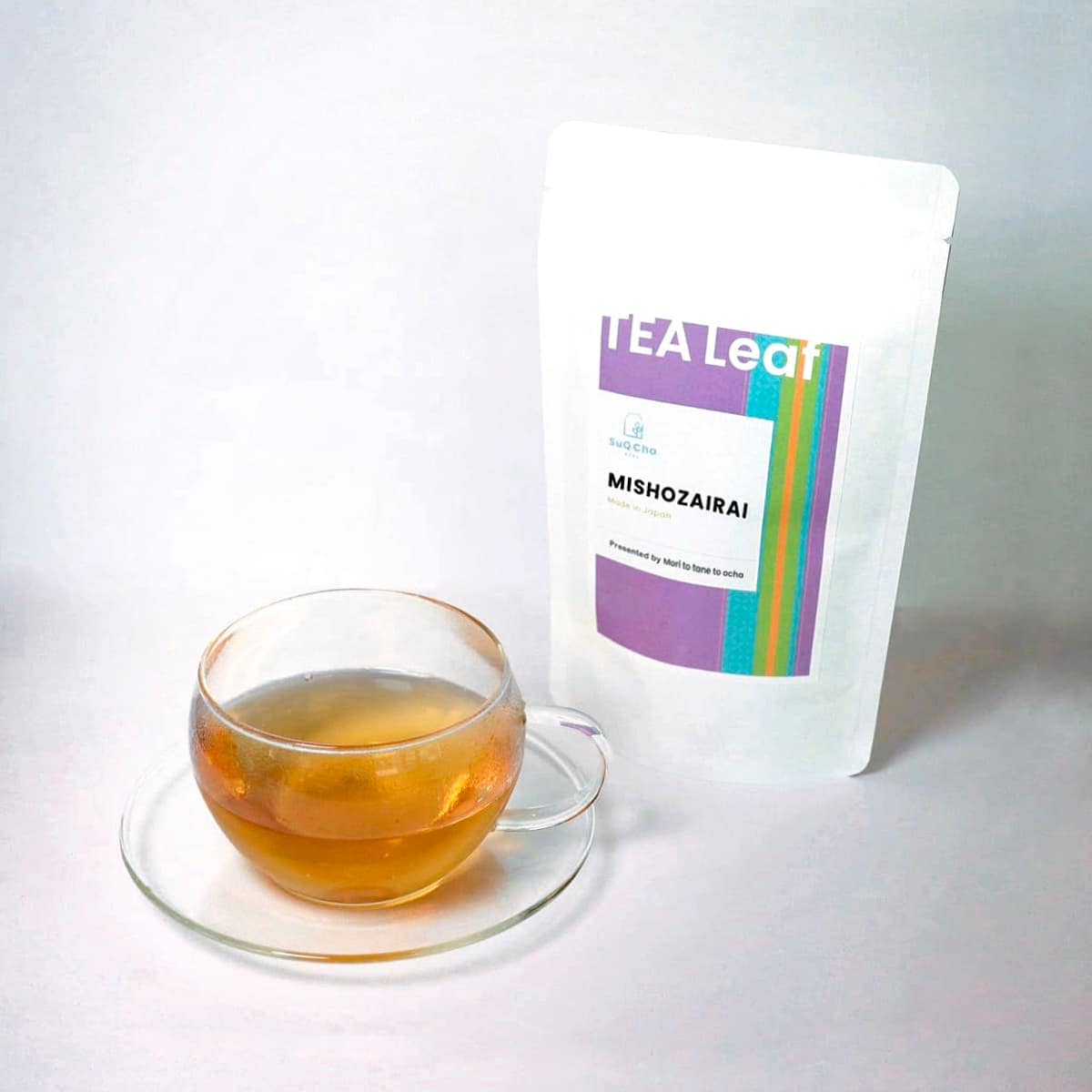 実生在来 1st2025