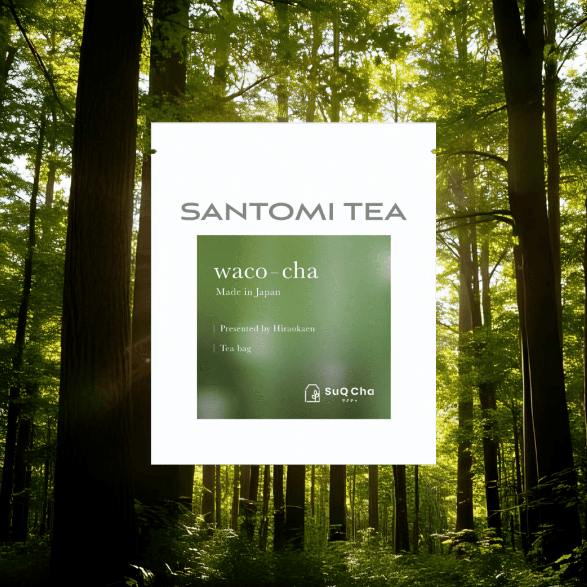 Scenic Scent ～風景と香り～写真3