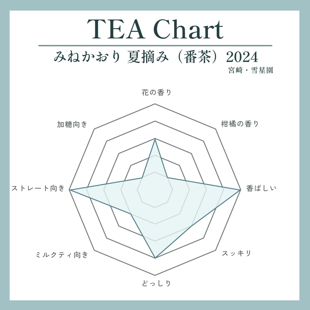 みねかおり 夏摘み（番茶）2024写真2
