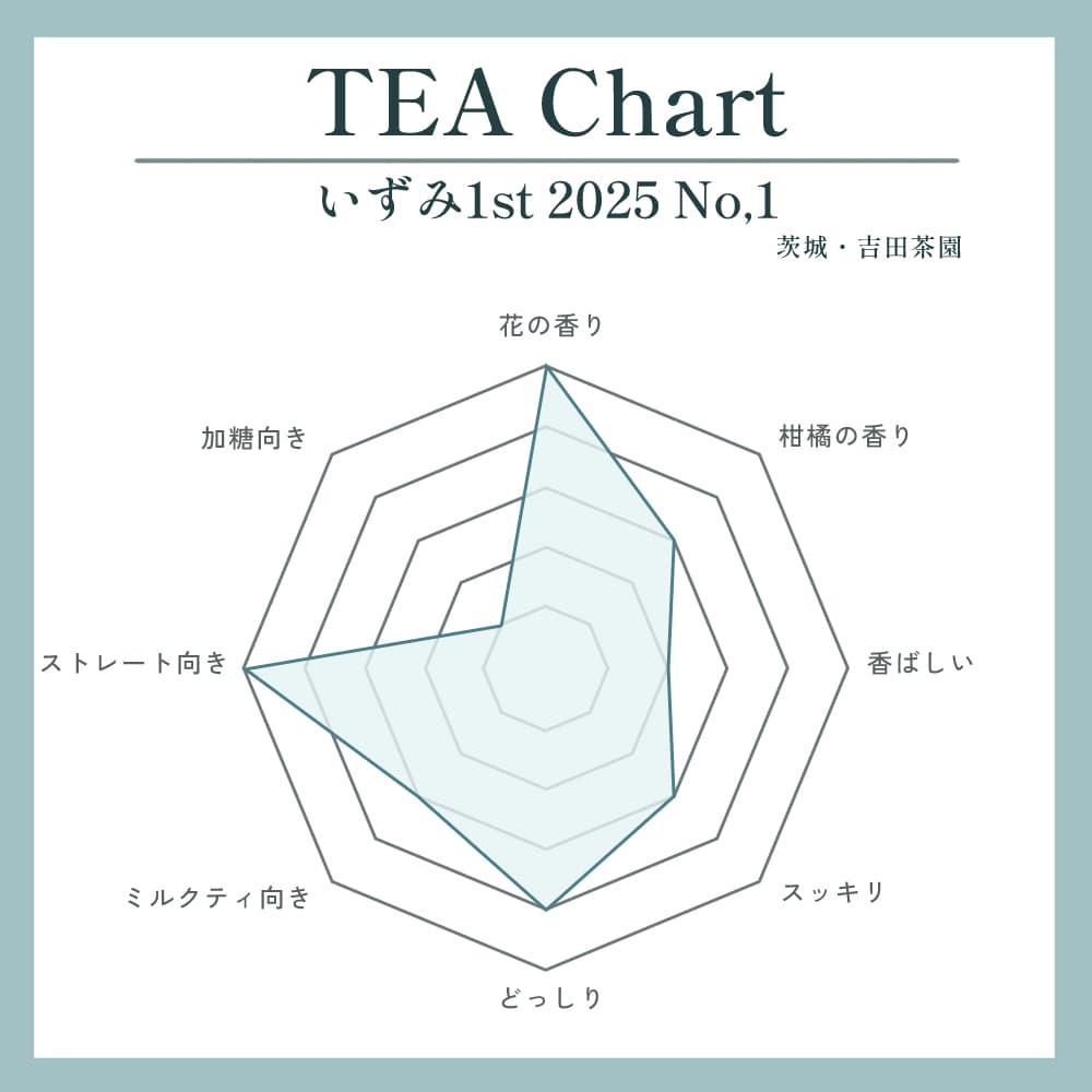 いずみ1st 2025 №1写真2