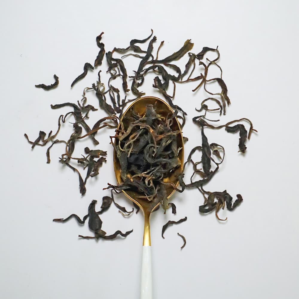 いずみ1st 2025 №1：茨城・吉田茶園｜SuQ Cha（サクチャ）