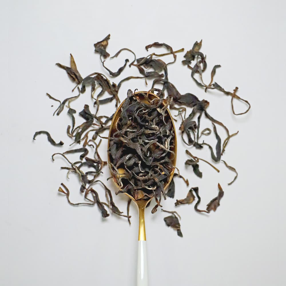 いずみ1st 2025 №2写真0