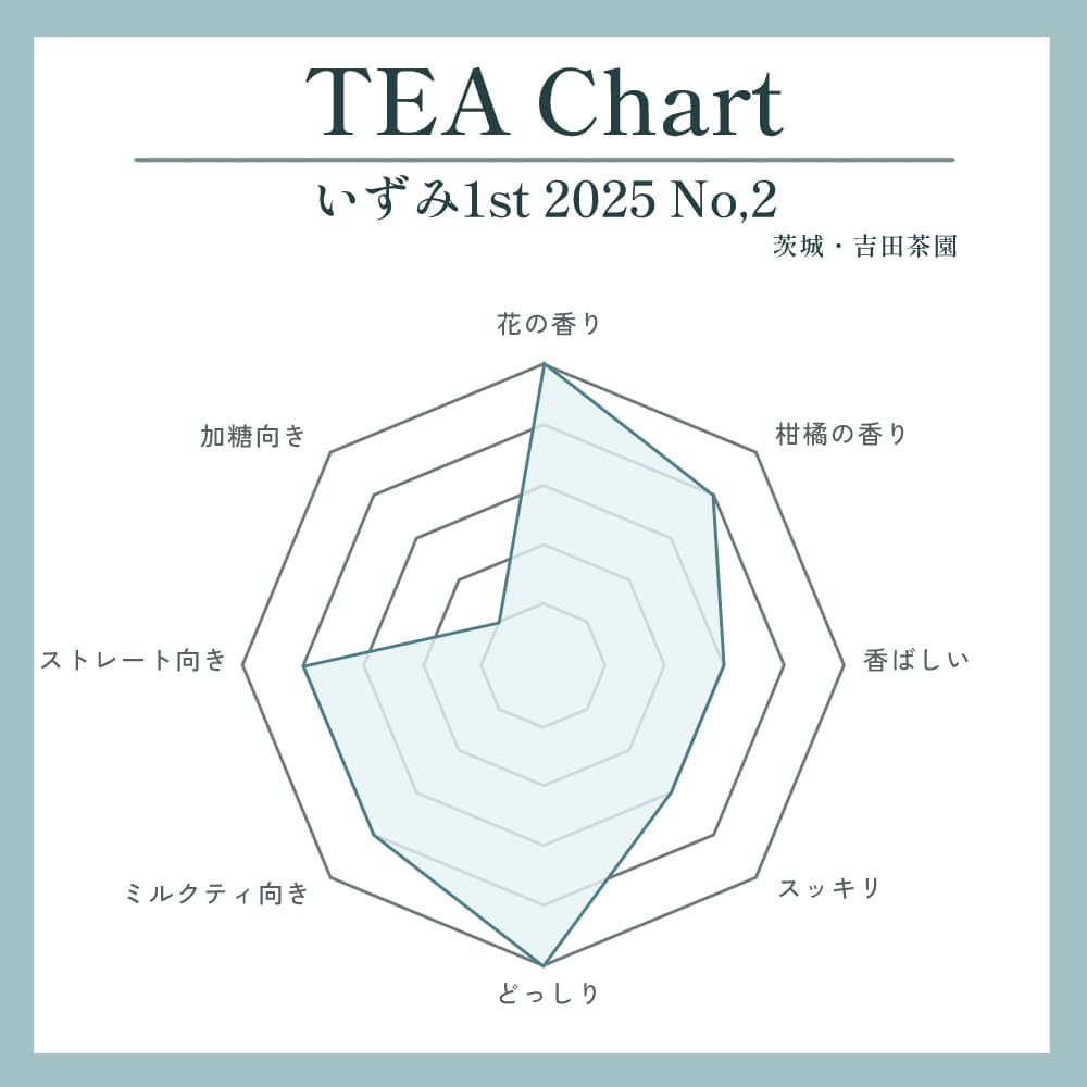 いずみ1st 2025 №2写真2