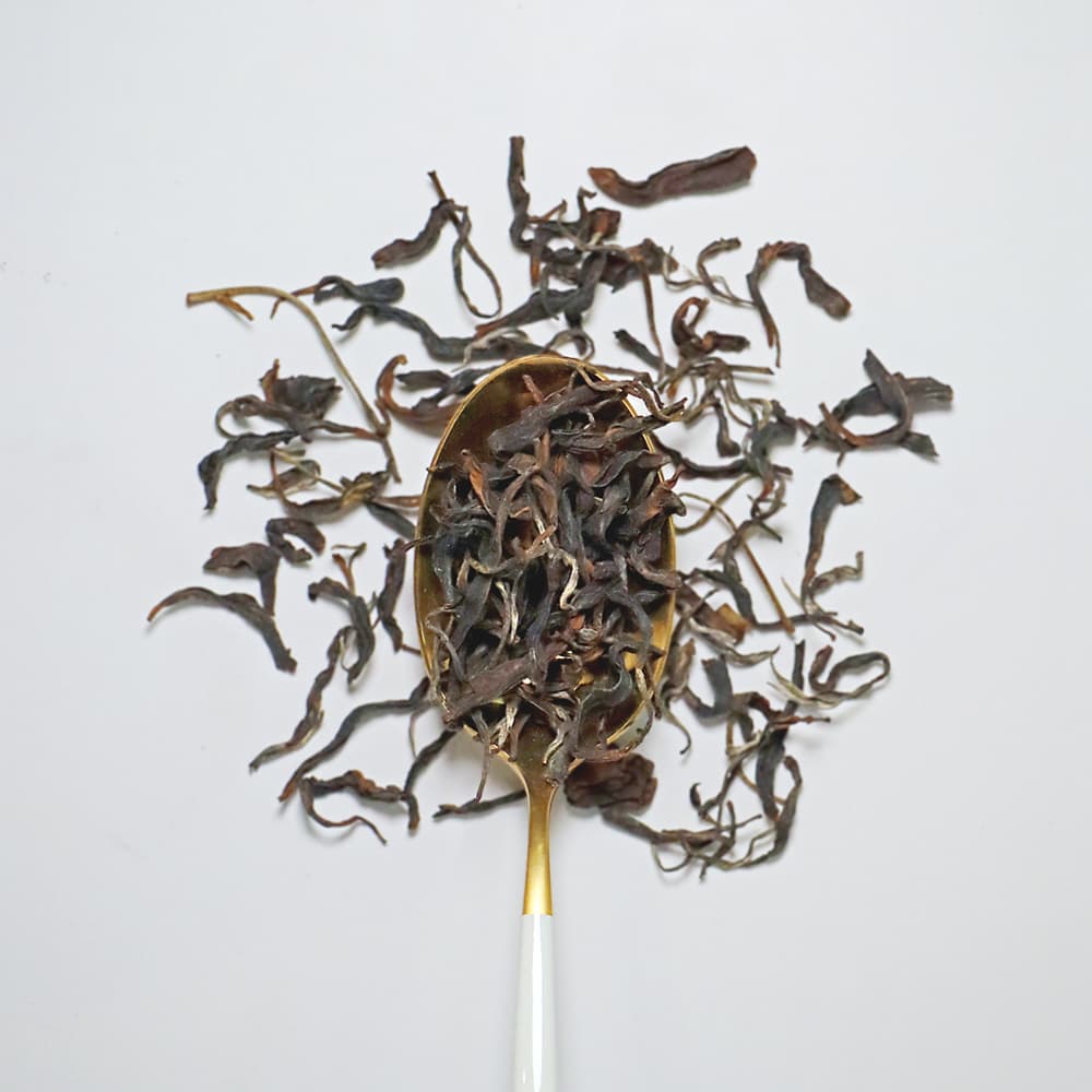 いずみ2nd 2025 №1写真0