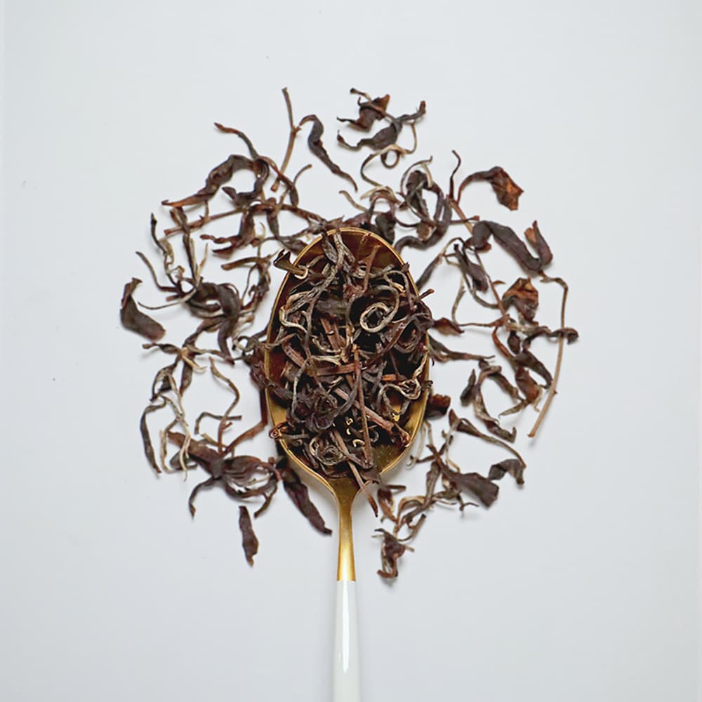 いずみ2nd 2025 №2写真0