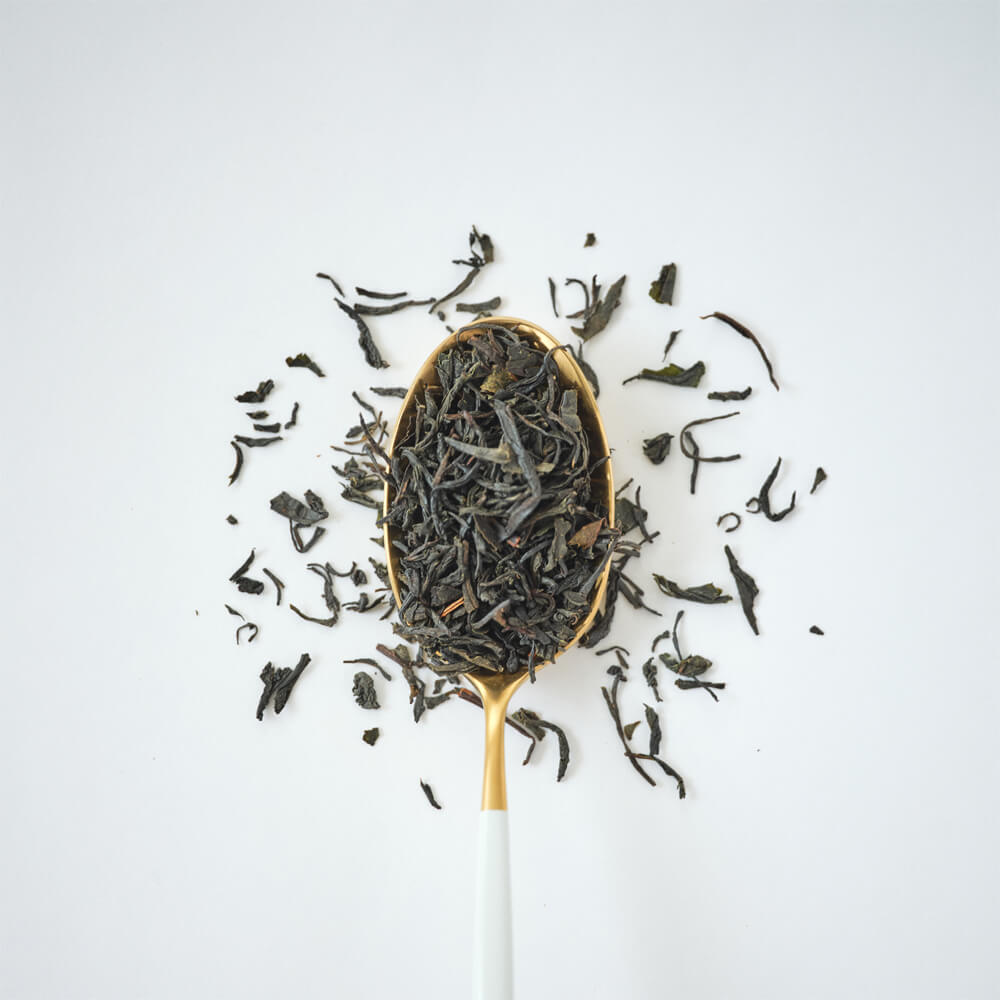 みらいふぁすと写真0