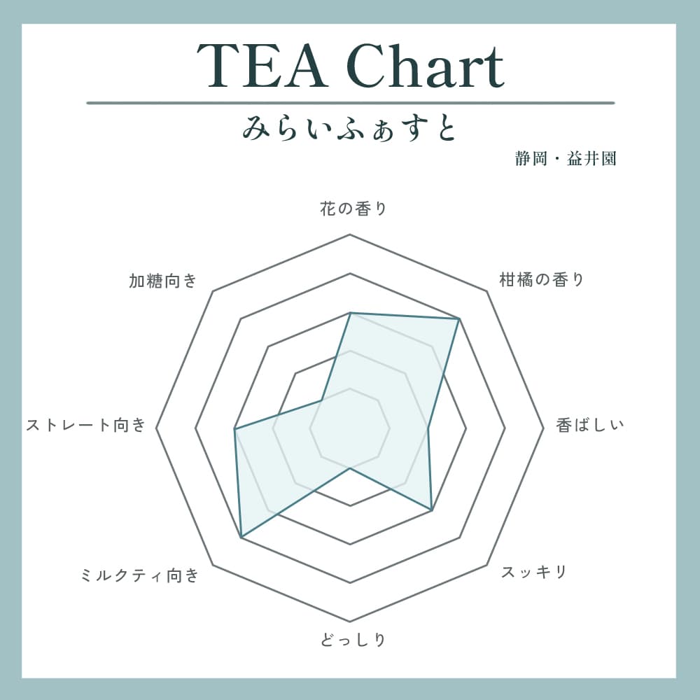 みらいふぁすと写真2