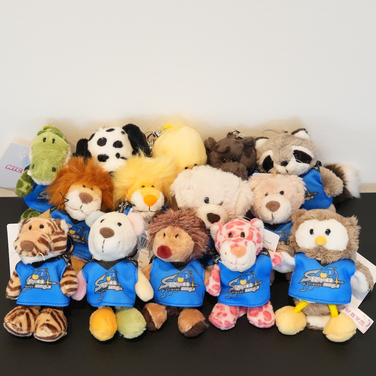 NICI×島根スサノオマジック】キーリング | 雑貨 | 島根スサノオ