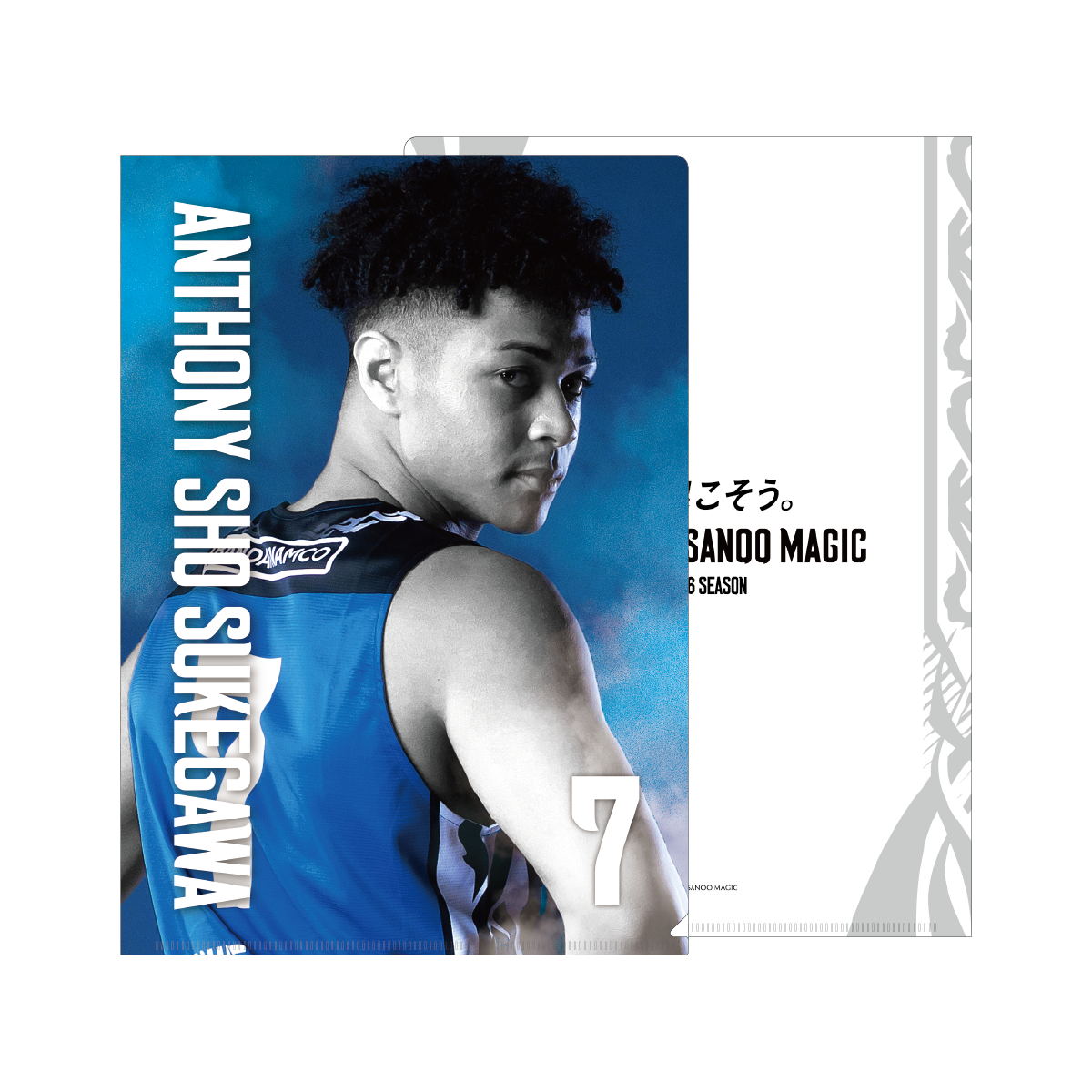 クリアファイル (2025-26) | すべての商品 | 島根スサノオマジック