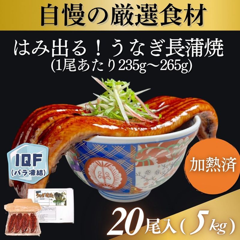 うなぎ長蒲焼 5kg 20尾入（1尾あたり235g～265g）