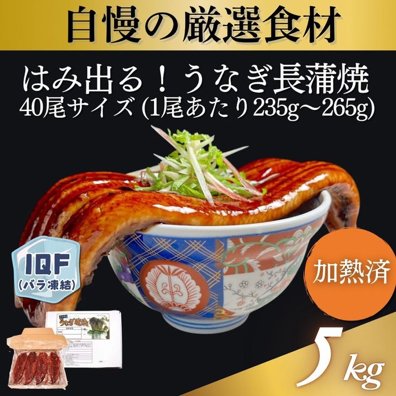 うなぎ長蒲焼 40尾サイズ 5kg（1尾あたり235g～265g）