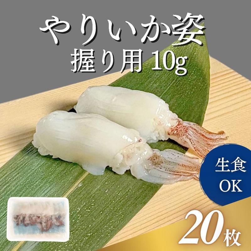 やりいか姿　握り用　10g　20枚入