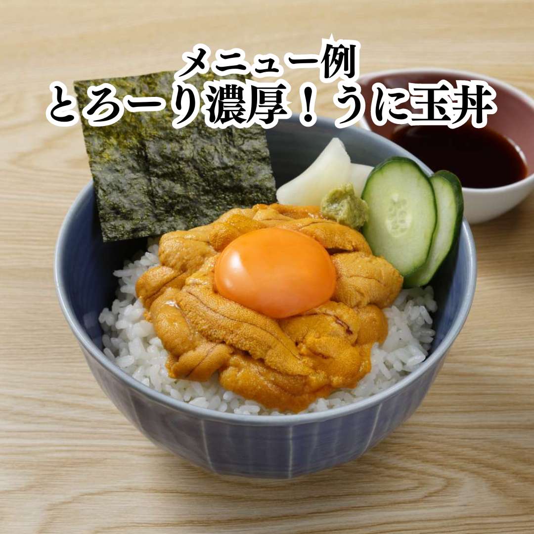 ブランチ冷凍ウニ 最上位グレード 100g｜業務用寿司ネタの仕入れ・通販