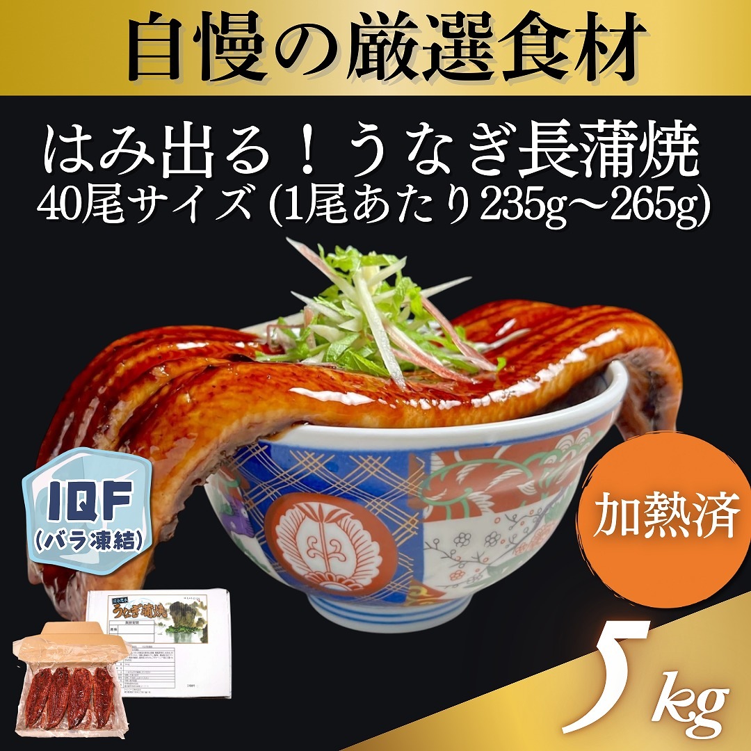うなぎ長蒲焼 40尾サイズ 5kg（1尾あたり235g～265g）