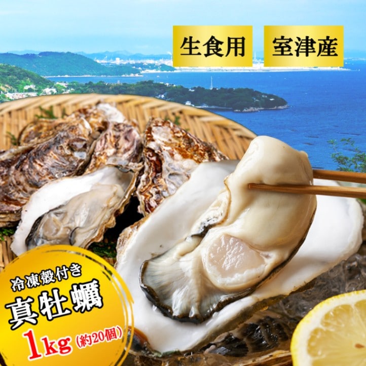 生食用殻付き牡蠣 兵庫県室津産 1ｋｇ 約20粒 業務用｜スシリーチ