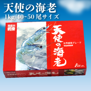 【業務用】天使の海老　1ｋｇ　40～50尾サイズ　刺身用