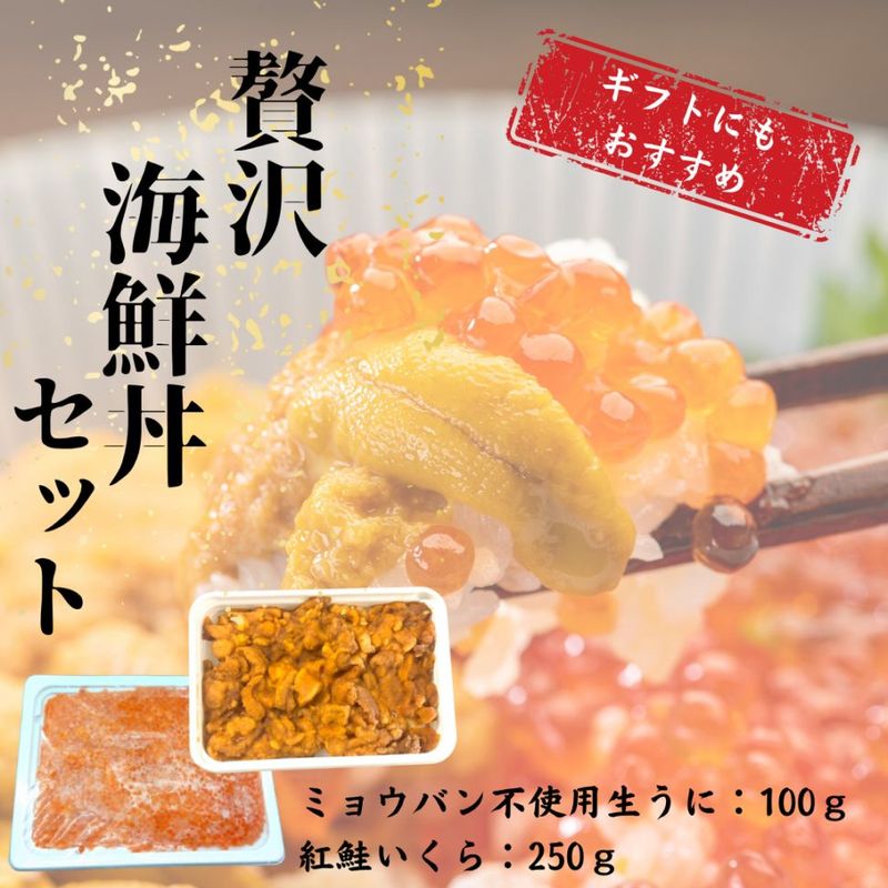 うにいくら贅沢海鮮丼セット