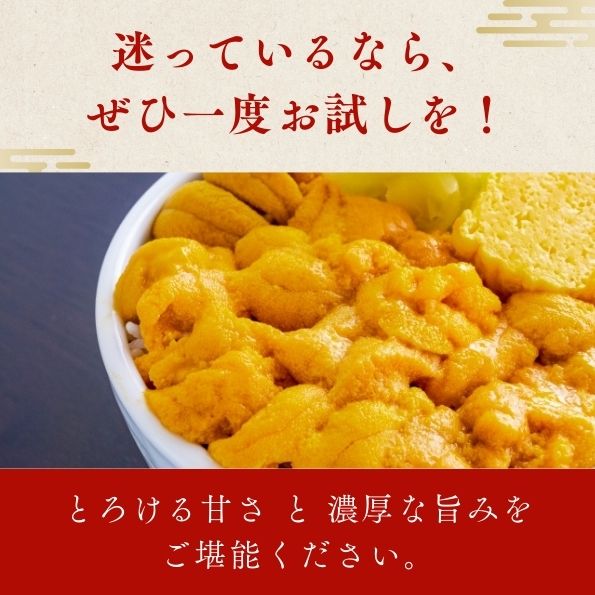 生うに 100g ミョウバン不使用 業務用 冷凍品 チリ産 不揃い