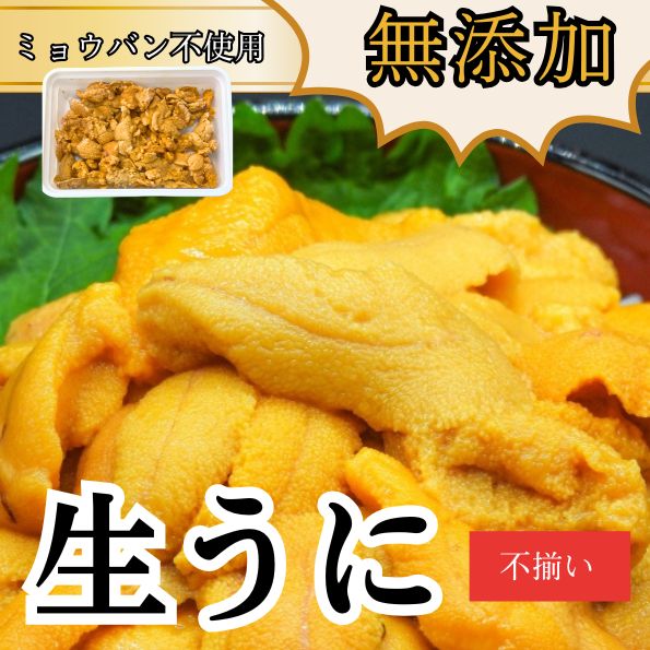 生うに 100g ミョウバン不使用 業務用 冷凍品 チリ産 不揃い